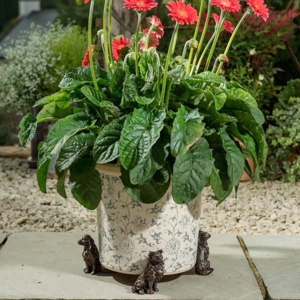 Jardinopia Border Collie Plant Pot Feet - Image 2